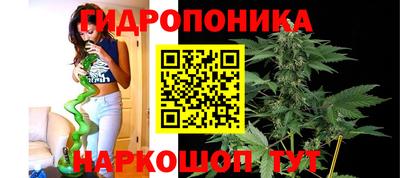 амф Заволжье