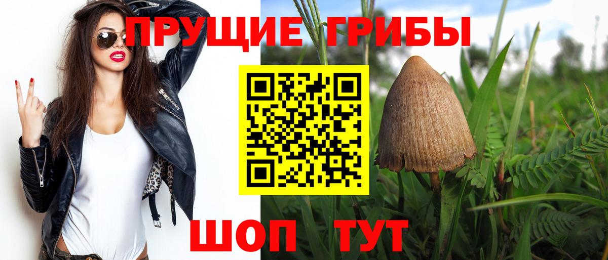Лянтор  Галлюциногенные грибы Cubensis  Вход с VPN 